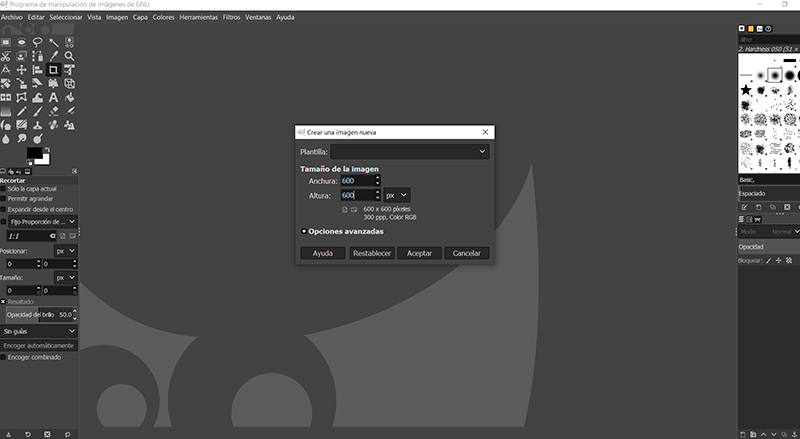 Captura de pantalla de las opciones para crear un archivo nuevo en Gimp