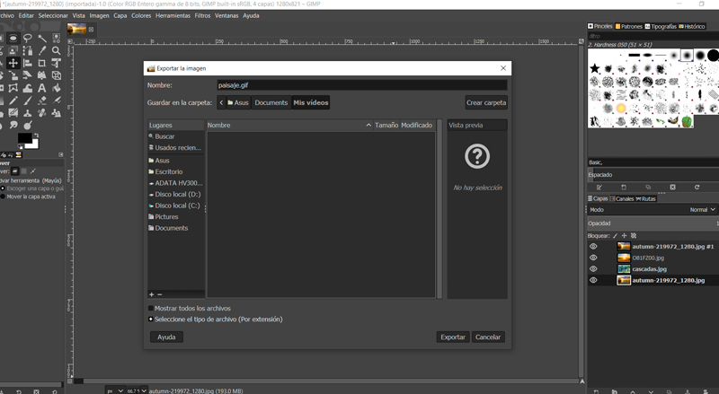 Captura de pantalla de las opciones para exportar un gif en Gimp