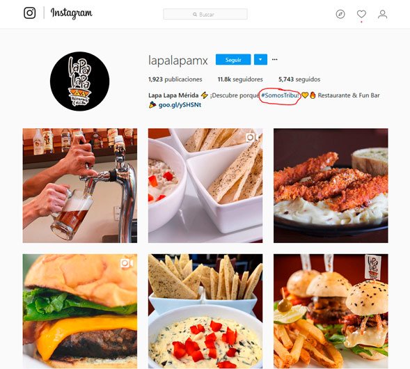 Imagen que muestra como Lapa Lapa creó su propio hashtag y lo usa en su bio