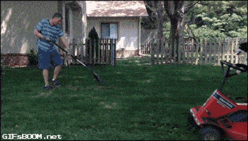 Gif de persona limpiando su césped y perro manejando una podadora 